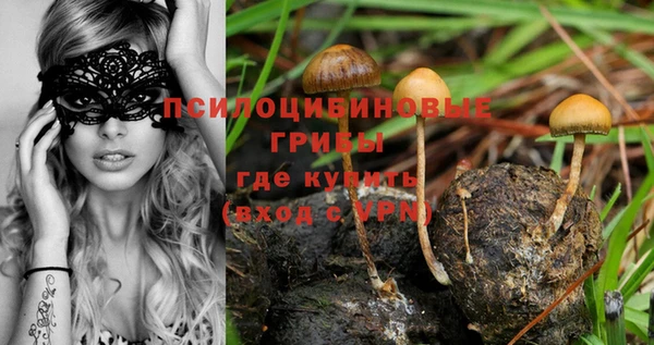 круглые Гусь-Хрустальный