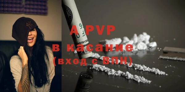 прущие грибы Дмитров