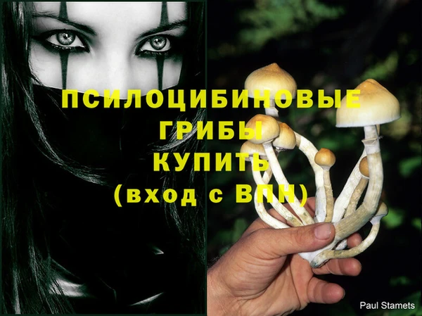круглые Гусь-Хрустальный