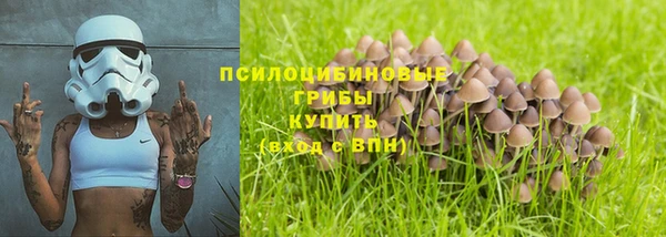 мет Гусиноозёрск