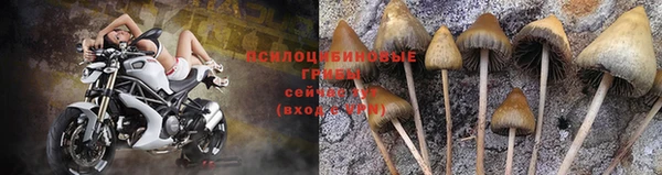 круглые Гусь-Хрустальный