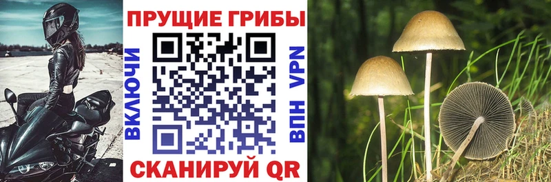 Купить закладки  Нытва  Галлюциногенные грибы мухоморы 